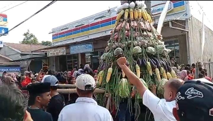 Ribuan Warga Sumberjaya Berebut Gunungan Sedekah Bumi, Tradisi Syukur Hasil Panen Terus Dilestarikan